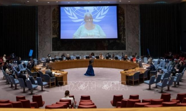 Việt Nam đề cao ho&agrave; giải, chấm dứt bạo lực tại CHDC Congo