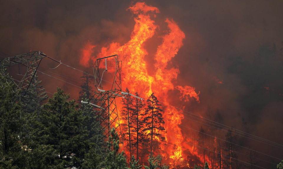 Thời tiết cực đoan đang t&agrave;n ph&aacute; c&aacute;c nước gi&agrave;u c&oacute;