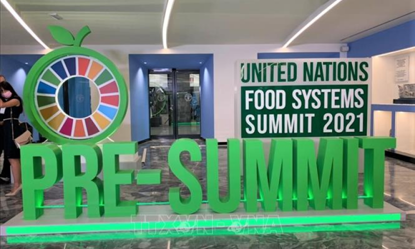 Ưu ti&ecirc;n nghi&ecirc;n cứu, đổi mới s&aacute;ng tạo để chuyển đổi hệ thống lương thực thế giới