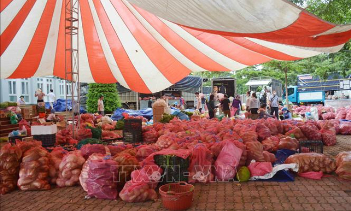 Xem x&eacute;t phương &aacute;n mở một số điểm tập kết, trung chuyển n&ocirc;ng sản tạm thời