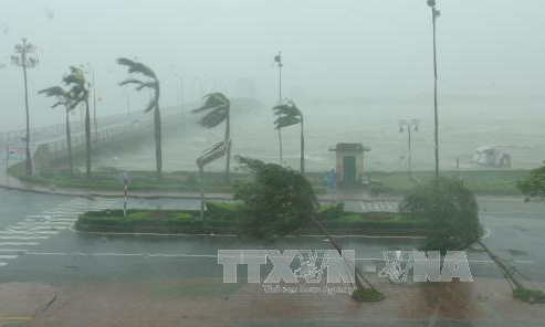 M&ugrave;a mưa b&atilde;o – chủ động dự b&aacute;o v&agrave; ứng ph&oacute;