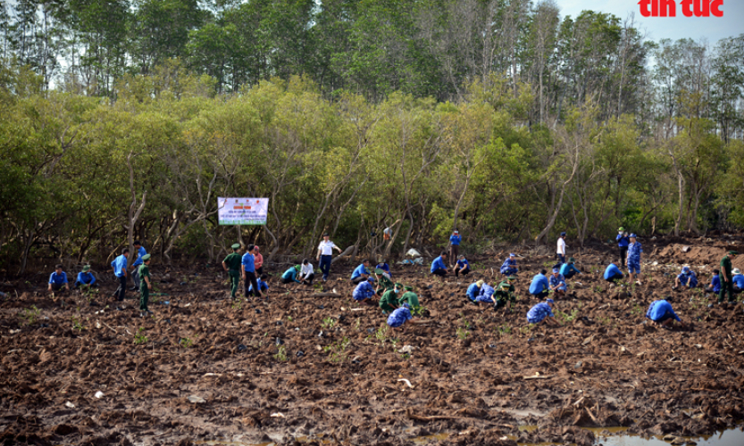 Khởi động S&aacute;ng kiến Xanh ASEAN