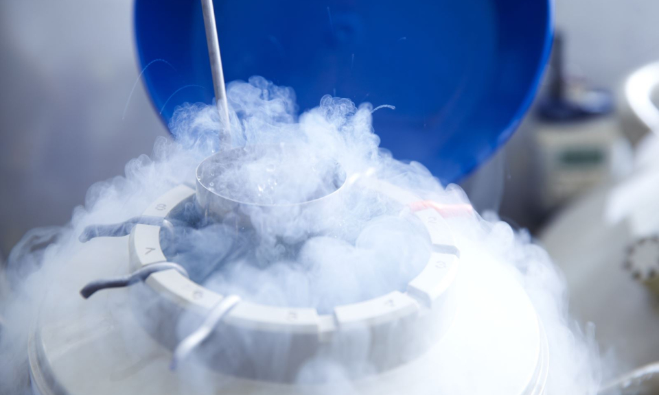 L&yacute; do ng&agrave;y c&agrave;ng nhiều phụ nữ Ấn Độ đ&ocirc;ng lạnh trứng trong dịch COVID-19