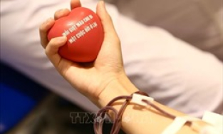 Ng&acirc;n h&agrave;ng m&aacute;u ở ĐBSCL tiếp nhận th&ecirc;m 1.250 đơn vị m&aacute;u