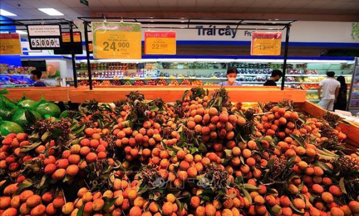 Đề nghị tạo điều kiện cho hoạt động th&ocirc;ng quan v&agrave; xuất khẩu n&ocirc;ng sản