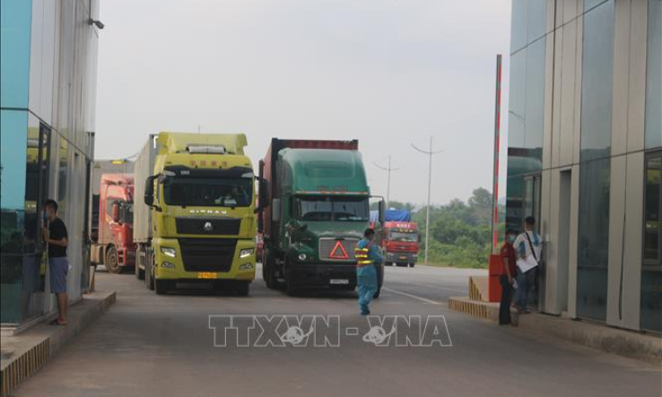 Kh&ocirc;ng c&ograve;n tồn thanh long ở cửa khẩu quốc tế M&oacute;ng C&aacute;i