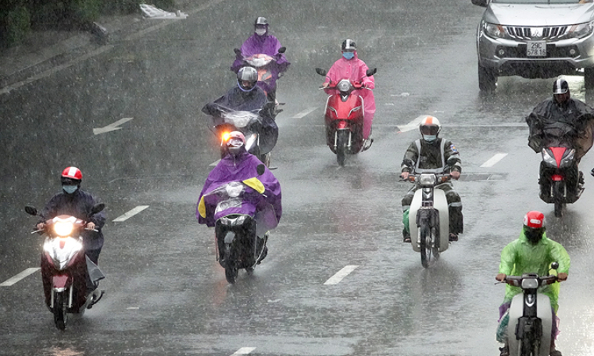 Thời tiết ng&agrave;y 29/10: Đ&ocirc;ng Bắc Bộ và Trung B&ocirc;̣ có mưa to