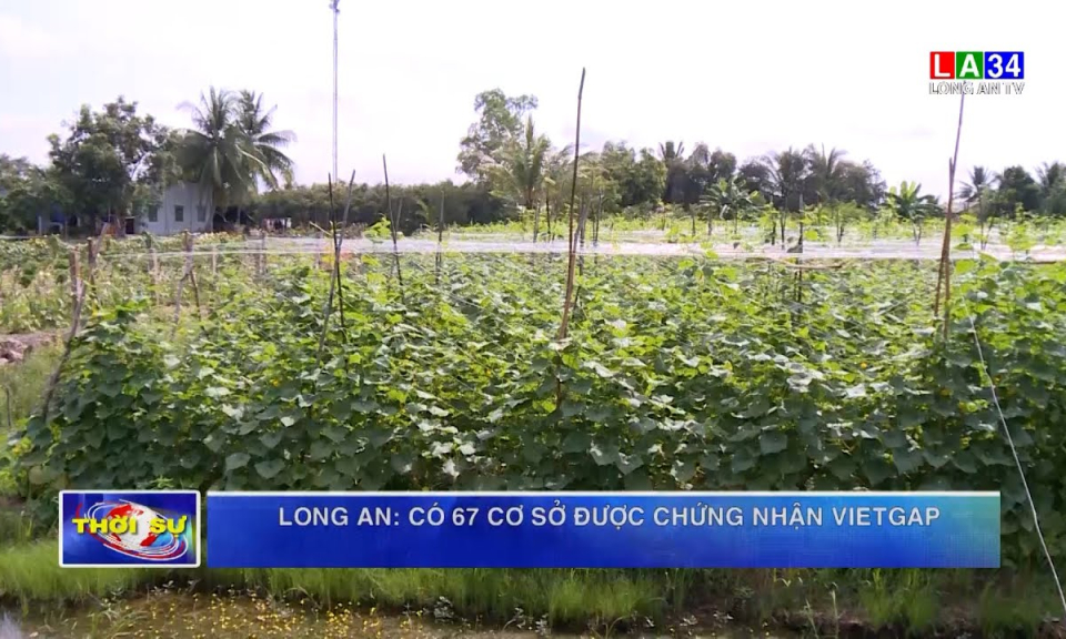 Long An: Có 67 cơ sở được chứng nhận VIETGAP - Báo và phát thanh ...