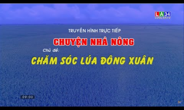 Chuyện nh&agrave; n&ocirc;ng: Chăm s&oacute;c l&uacute;a Đ&ocirc;ng Xu&acirc;n