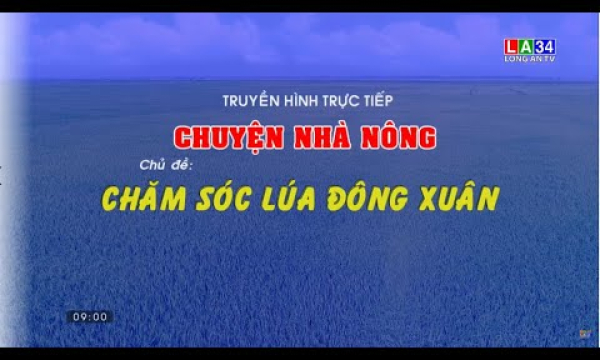 Chuyện nh&agrave; n&ocirc;ng: Chăm s&oacute;c l&uacute;a Đ&ocirc;ng Xu&acirc;n