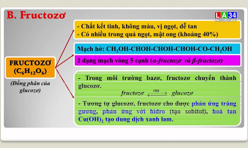 M&ocirc;n H&oacute;a học: Cacbohidrat
