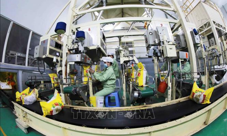 Cơ hội rộng mở với doanh nghiệp xuất khẩu gạo