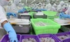 Doanh nghiệp mong đ&ograve;n bẩy nguồn t&agrave;i ch&iacute;nh, &lsquo;cởi tr&oacute;i&rsquo; trong t&igrave;nh h&igrave;nh mới