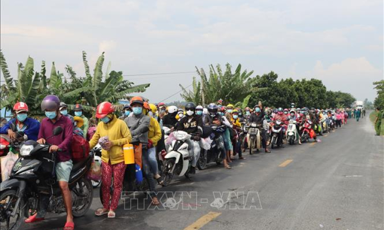 Sớm c&oacute; dữ liệu về thị trường lao động để điều tiết tốt nhất