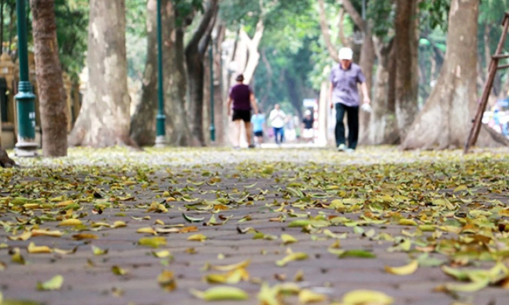 Thời tiết ng&agrave;y 20/10: Bắc bộ nhiều m&acirc;y, trưa chiều hửng nắng