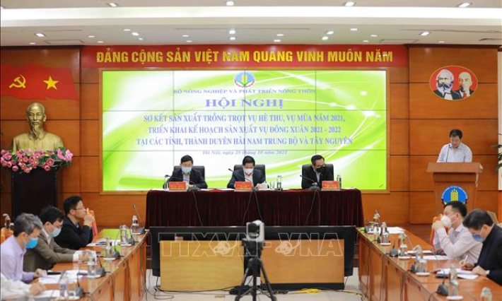 Triển khai kế hoạch sản xuất vụ Đ&ocirc;ng Xu&acirc;n 2021-2022