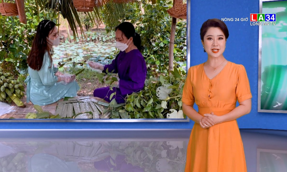 N&oacute;ng 24 giờ 14-11-2021