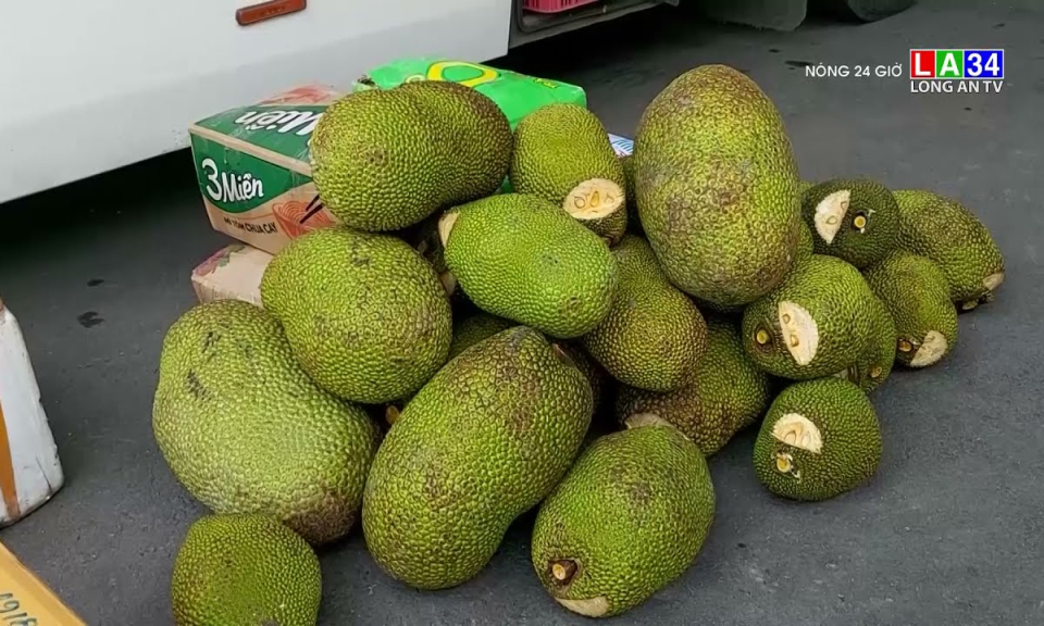 N&oacute;ng 24 giờ 04-11-2021