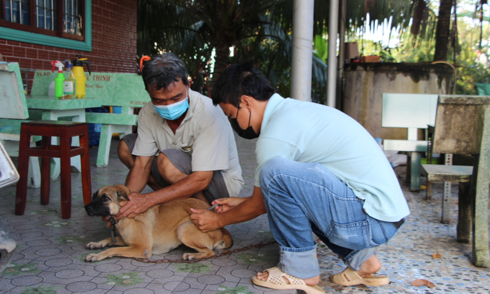 Thủ Thừa: Ti&ecirc;m ph&ograve;ng vắc xin dại đợt 2 năm 2021