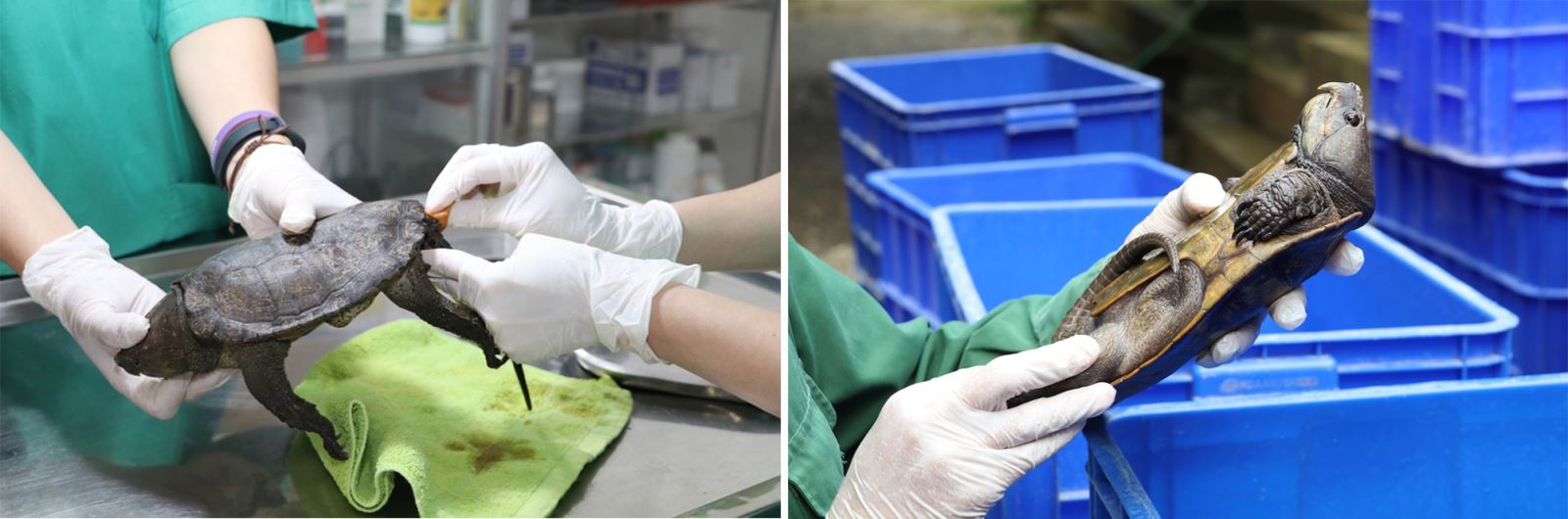 Ảnh với chú thích