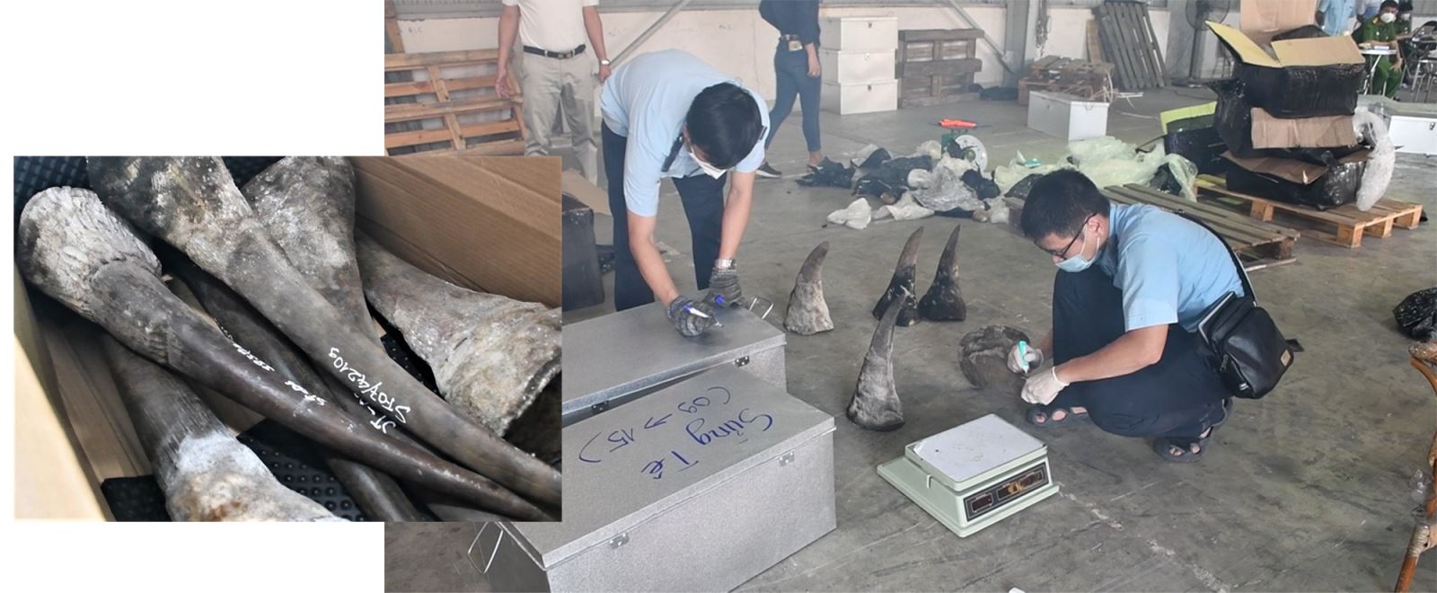 Văn bản với chữ cái đầu