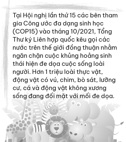 Ảnh căn phải