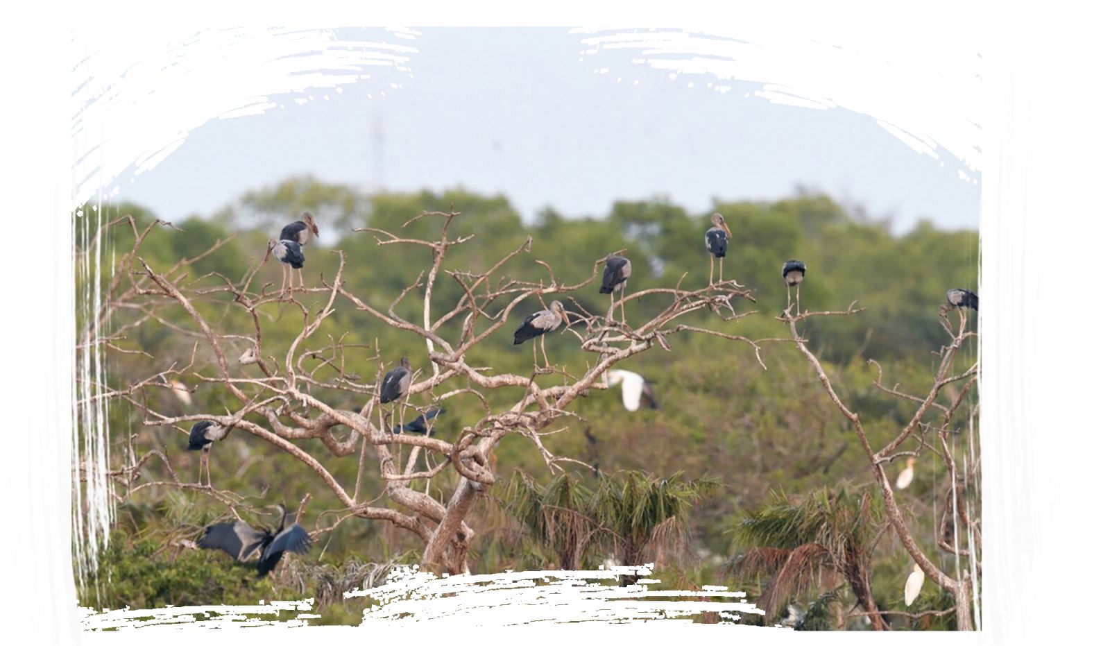 Ảnh với chú thích