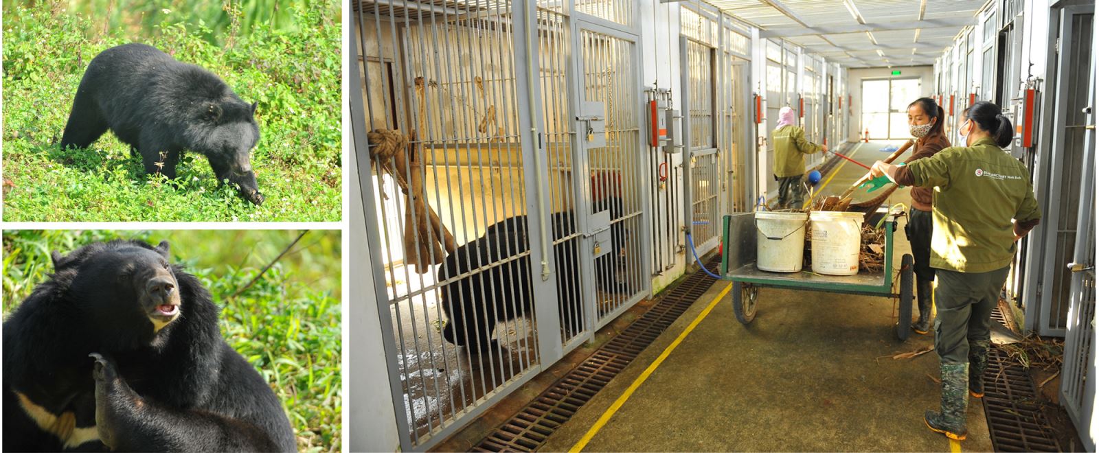 Văn bản với chữ cái đầu