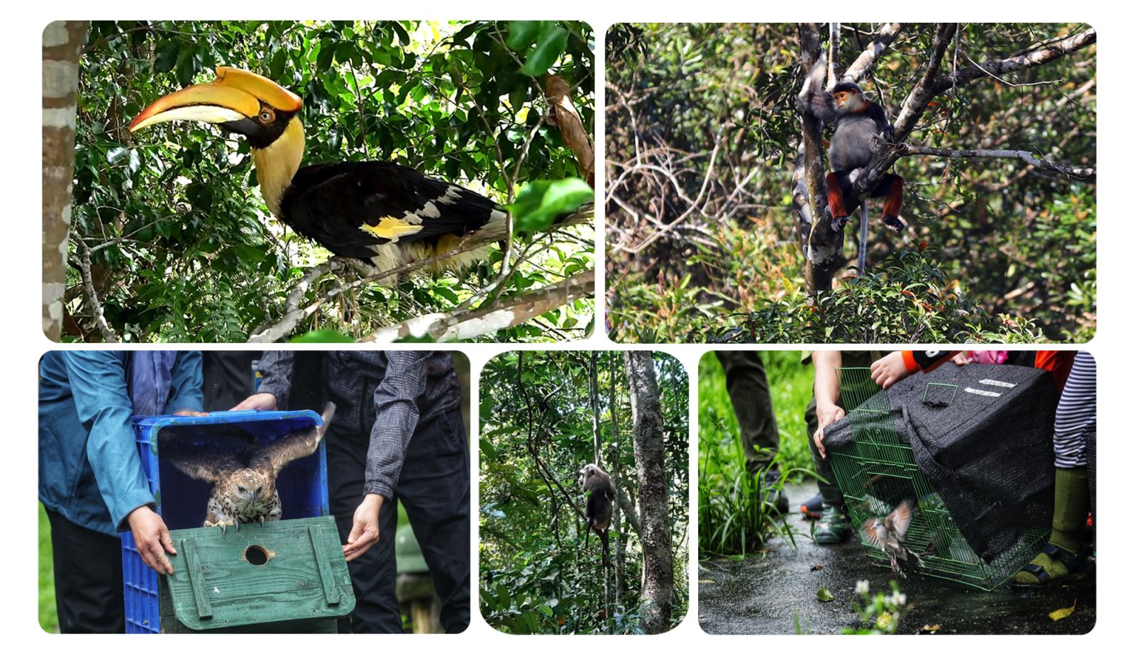 Ảnh với chú thích