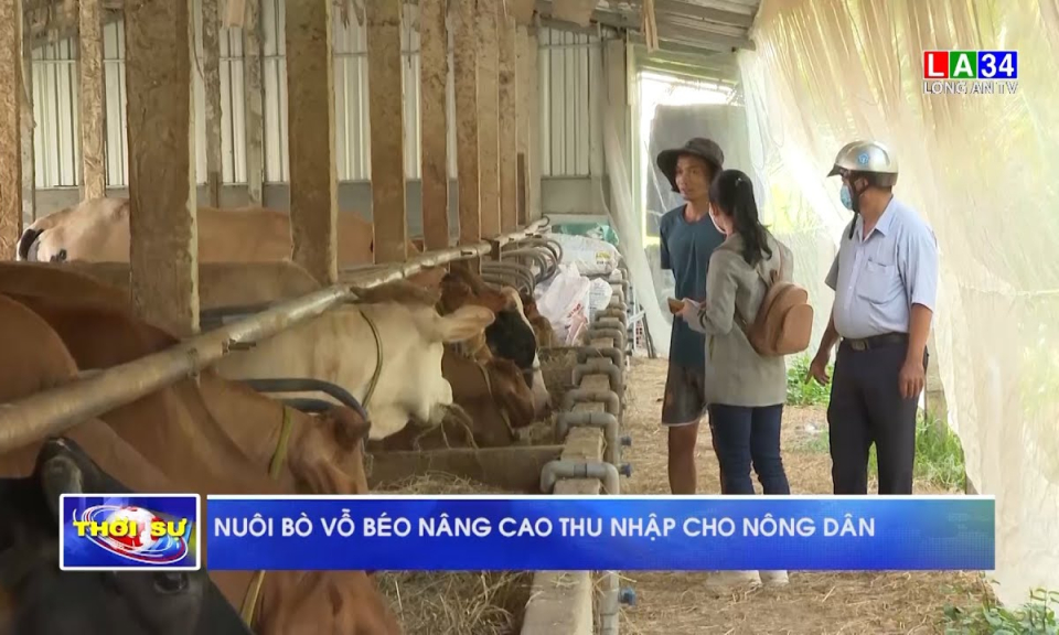 Nu&ocirc;i b&ograve; vỗ b&eacute;o n&acirc;ng cao thu nhập cho n&ocirc;ng d&acirc;n