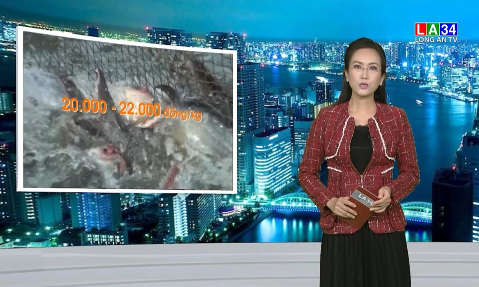 Bản tin T&agrave;i ch&iacute;nh thị trường 22-03-2022