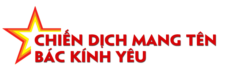 Ảnh trong văn bản