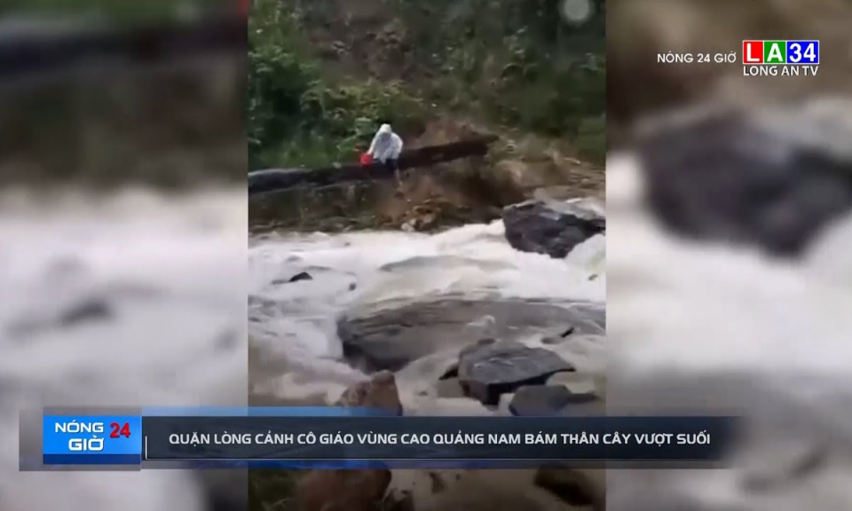 Quặn l&ograve;ng cảnh c&ocirc; gi&aacute;o v&ugrave;ng cao Quảng Nam b&aacute;m th&acirc;n c&acirc;y vượt suối