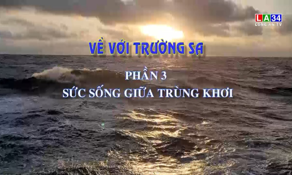 K&yacute; sự truyền h&igrave;nh: Sức sống giữa tr&ugrave;ng khơi