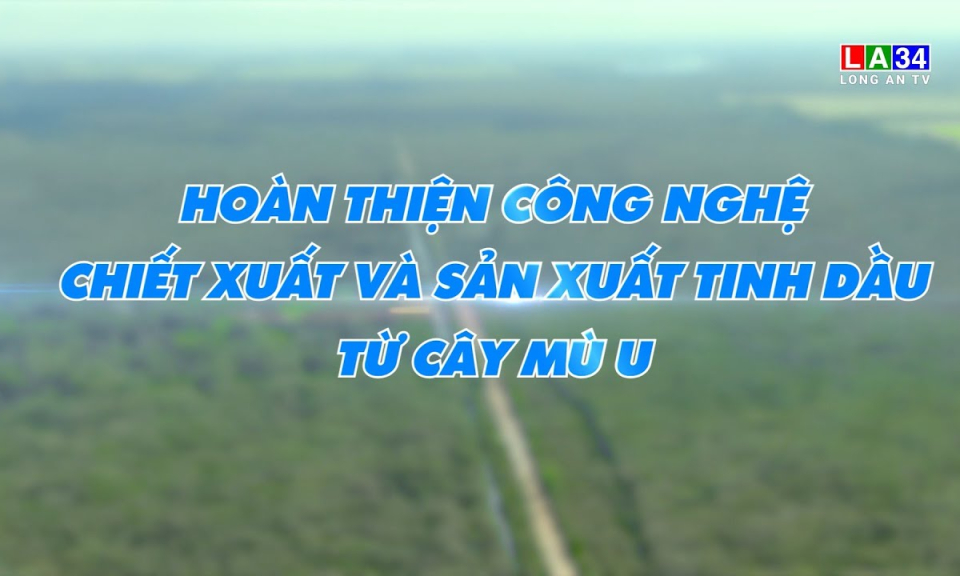 Khoa học & C&ocirc;ng nghệ: Sản xuất tinh dầu từ c&acirc;y m&ugrave; u