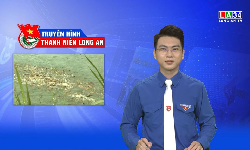 Truyền h&igrave;nh Thanh ni&ecirc;n: M&ocirc; h&igrave;nh ph&aacute;t triển kinh tế của thanh ni&ecirc;n Đức Huệ