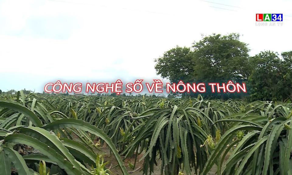 Kết nối - Ph&aacute;t triển: C&ocirc;ng nghệ số về n&ocirc;ng th&ocirc;n
