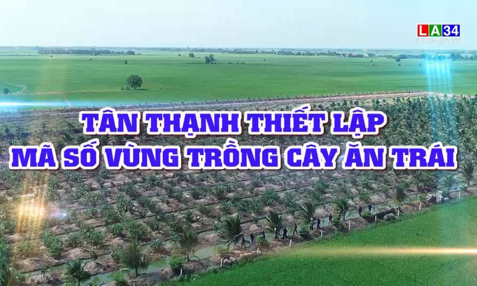 Kết nối - Ph&aacute;t triển: T&acirc;n Thạnh thiết lập m&atilde; số v&ugrave;ng trồng c&acirc;y ăn tr&aacute;i