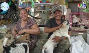 M&aacute;i ấm y&ecirc;u thương cho "những người bạn 4 ch&acirc;n"