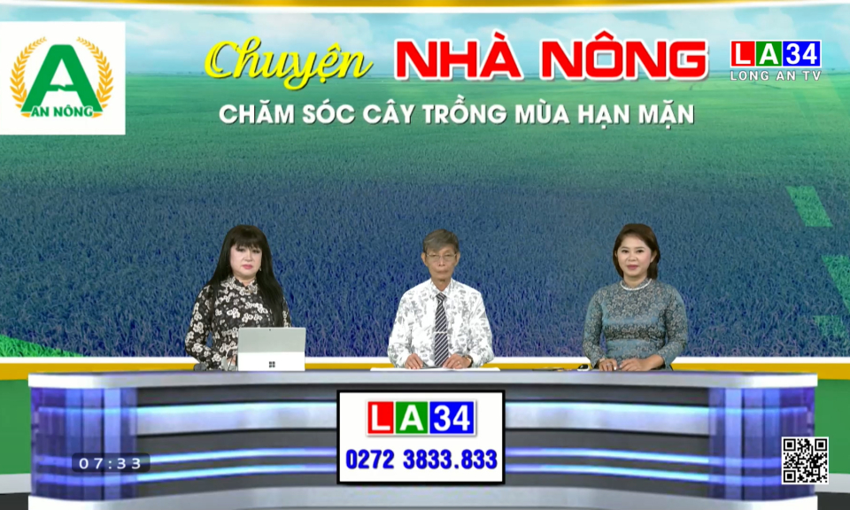 Chuyện nh&agrave; n&ocirc;ng: Chăm s&oacute;c c&acirc;y trồng m&ugrave;a hạn mặn