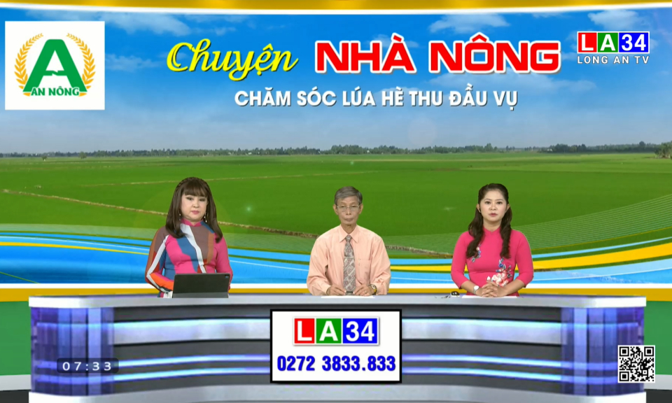 Chuyện nh&agrave; n&ocirc;ng: Chăm s&oacute;c l&uacute;a H&egrave; Thu đầu vụ