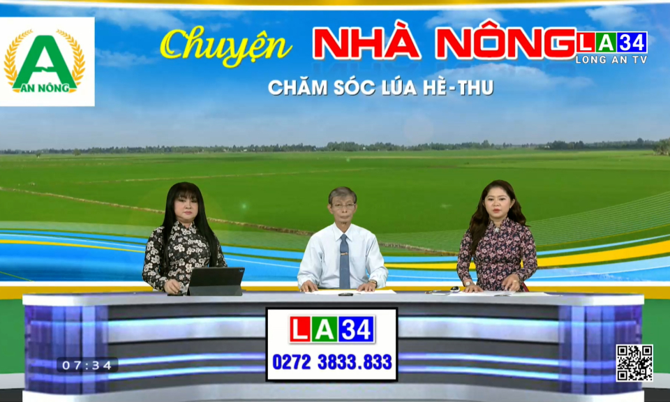 Chuyện nh&agrave; n&ocirc;ng: Chăm s&oacute;c l&uacute;a H&egrave; Thu