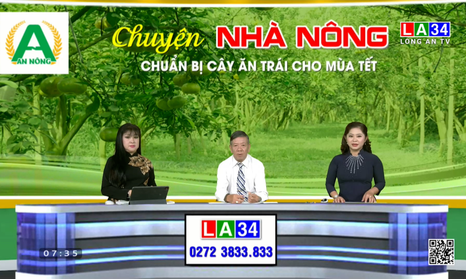 Chuyện nh&agrave; n&ocirc;ng: Chuẩn bị c&acirc;y ăn tr&aacute;i cho m&ugrave;a Tết