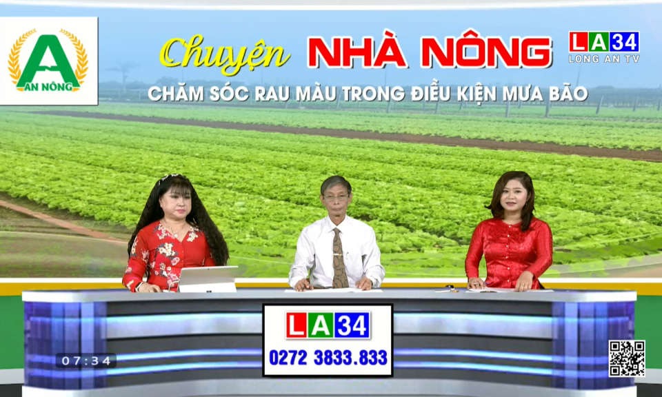 Chuyện nh&agrave; n&ocirc;ng: Chăm s&oacute;c rau m&agrave;u trong điều kiện mưa b&atilde;o