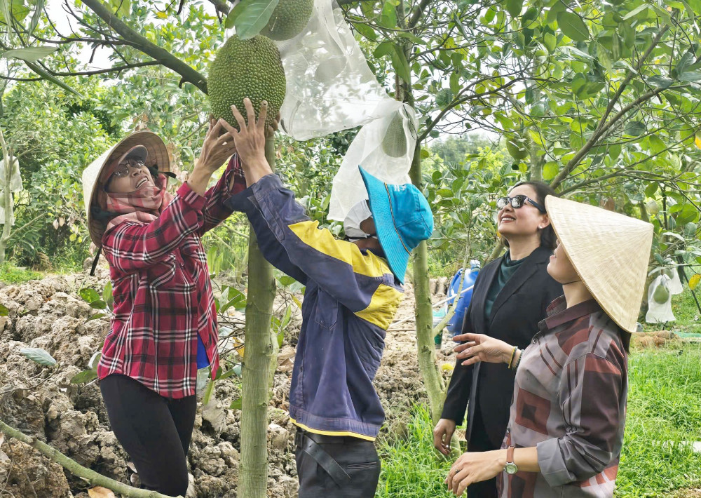 Đại diện Công ty VWS đến thăm vườn mít của gia đình chị Đoàn Thị Tuyền Trinh và anh Nguyễn Xuân Thảo (ấp Long Thạnh, xã Bình An, huyện Thủ Thừa)