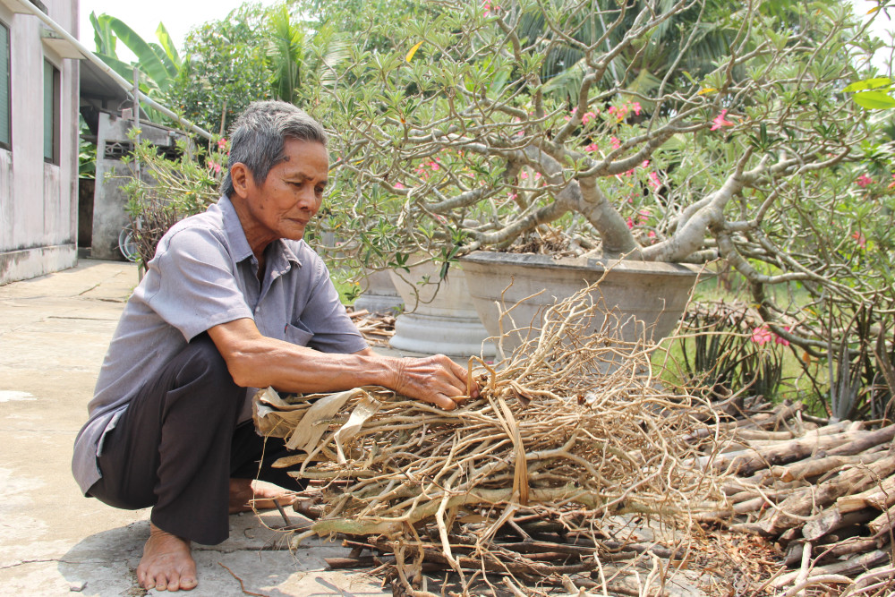 Ông Phan Quốc Ninh (ấp 3, xã Lạc Tấn, huyện Tân Trụ) là cựu chiến binh tiêu biểu, gương mẫu, có nhiều đóng góp cho sự phát triển của địa phương