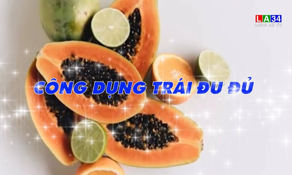 M&oacute;n ăn b&agrave;i thuốc: C&ocirc;ng dụng tr&aacute;i đu đủ