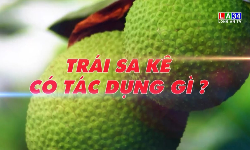 M&oacute;n ăn b&agrave;i thuốc: Tr&aacute;i sa k&ecirc; c&oacute; t&aacute;c dụng g&igrave;?