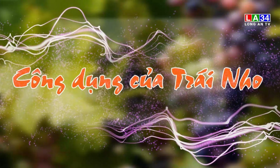 M&oacute;n ăn b&agrave;i thuốc: C&ocirc;ng dụng của tr&aacute;i nho