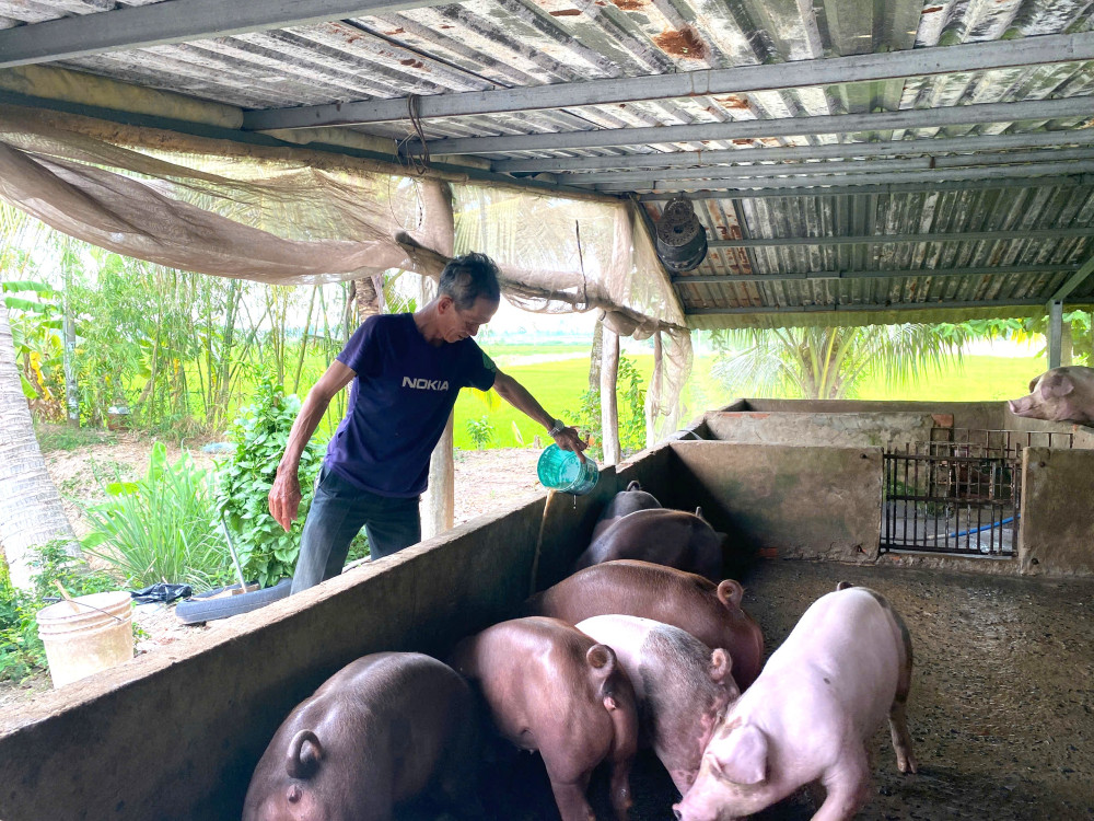 Chuồng heo của nhà ông Hùng